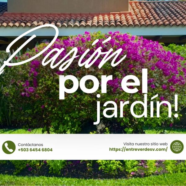 Pasión por el jardín con flores moradas y contacto.