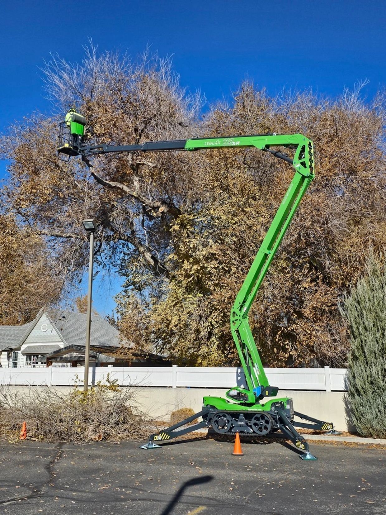 Tree Trimming Grand Junction