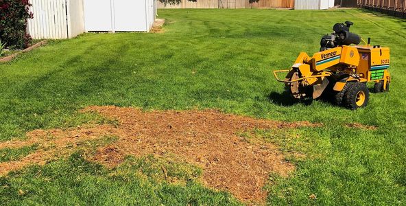 High_Country_Tree_Service_Grand_Junction_Stump_Grinding