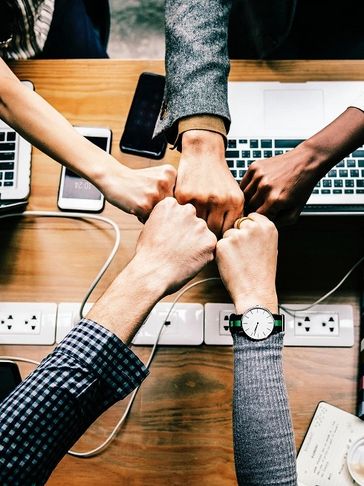 Profesionales para ti