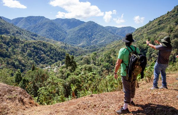 Costa Rica coffee farm view