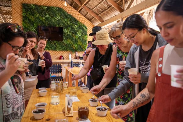 Coffee sampling Costa Rica - Farm17