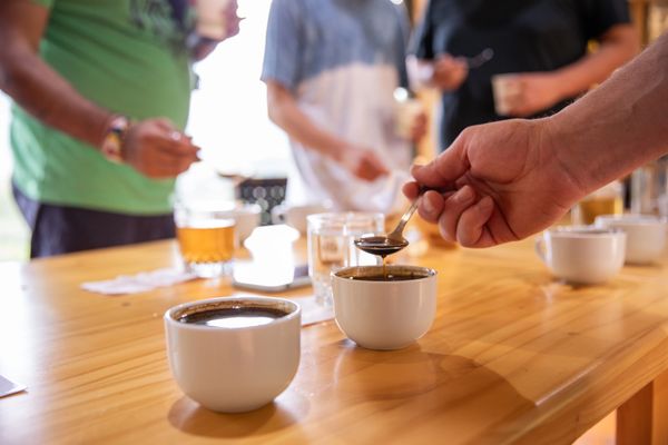 Coffee tasting - Farm17 - Costa Rica