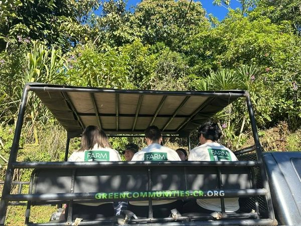 Farm 17 shirts Costa Rica