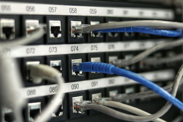 Close-up of network cables plugged into numbered Ethernet ports.