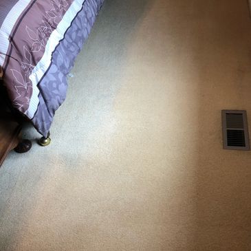 visibly clean carpet cleaning