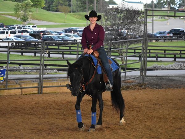 A person in a cowboy hat riding a black horse inside an arena.
