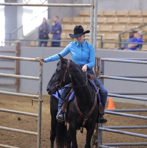 Woman in blue shirt and black hat riding a black horse inside an arena.
