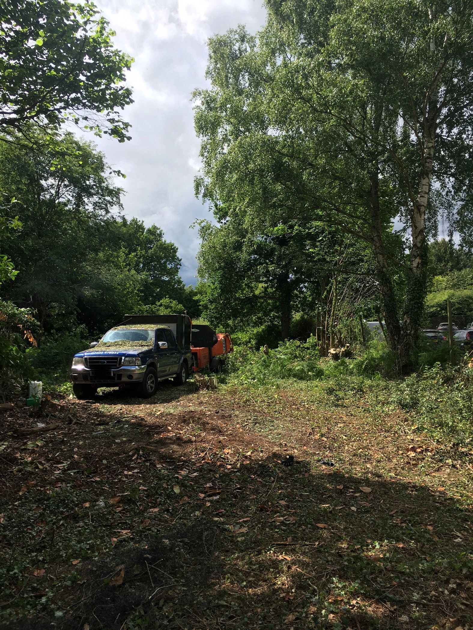 Clearance in Bracknell