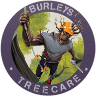 Burleys tree care