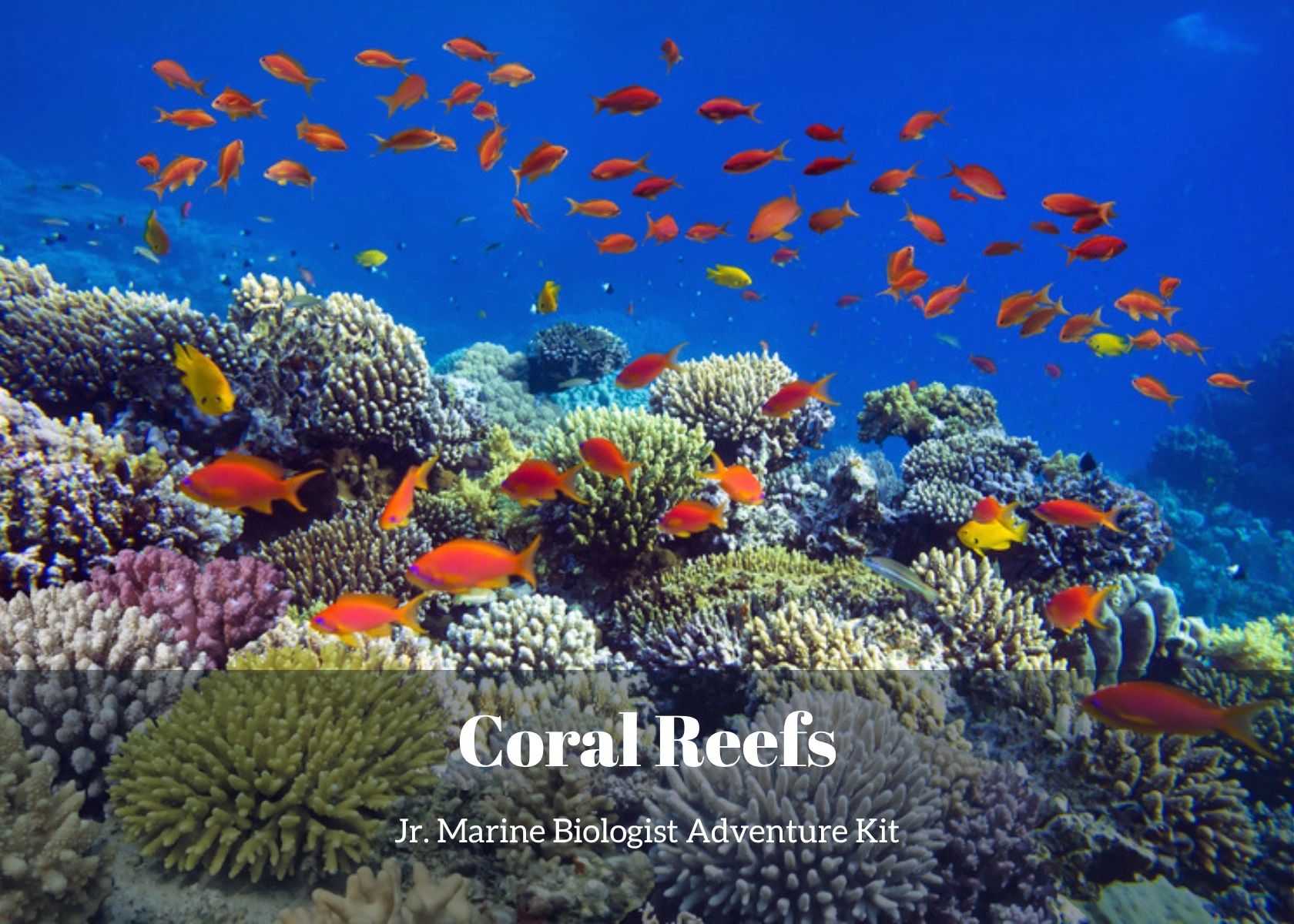 Coral Reefs - Jr. Marine Biologist Adventure Kit, a coral reef science kit for kids ages 4-12