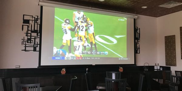 Huge projection screen for watching sports, slide shows, and presentations