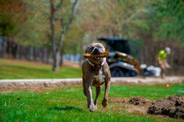 Bullet Edgers Added to Driveway
