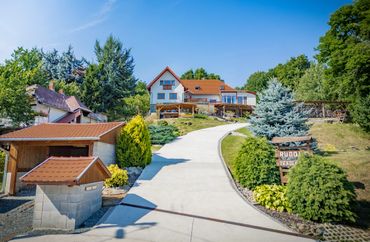 A large house atop a hill with a paved driveway and surrounded by greenery.