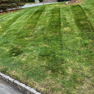 Lawn Care Sparta NJ