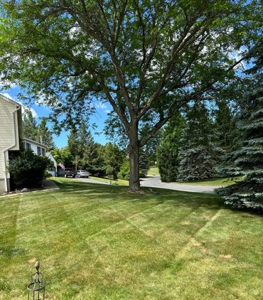 Lawn Care Service Sussex county NJ