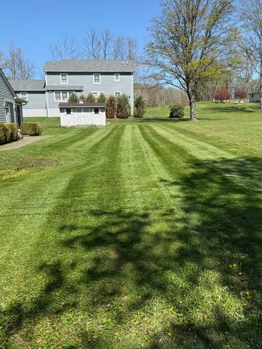 Lawn Care Branchville NJ