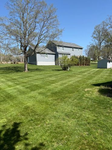 Lawn Care Sparta NJ