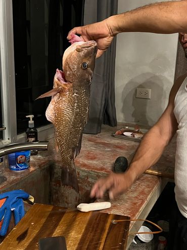 Let’s go fishing again