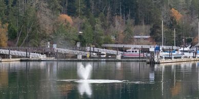 Gray whale blows hearts near the Tacoma Yacht Club slips. © Belen Schneider. All rights reserved.