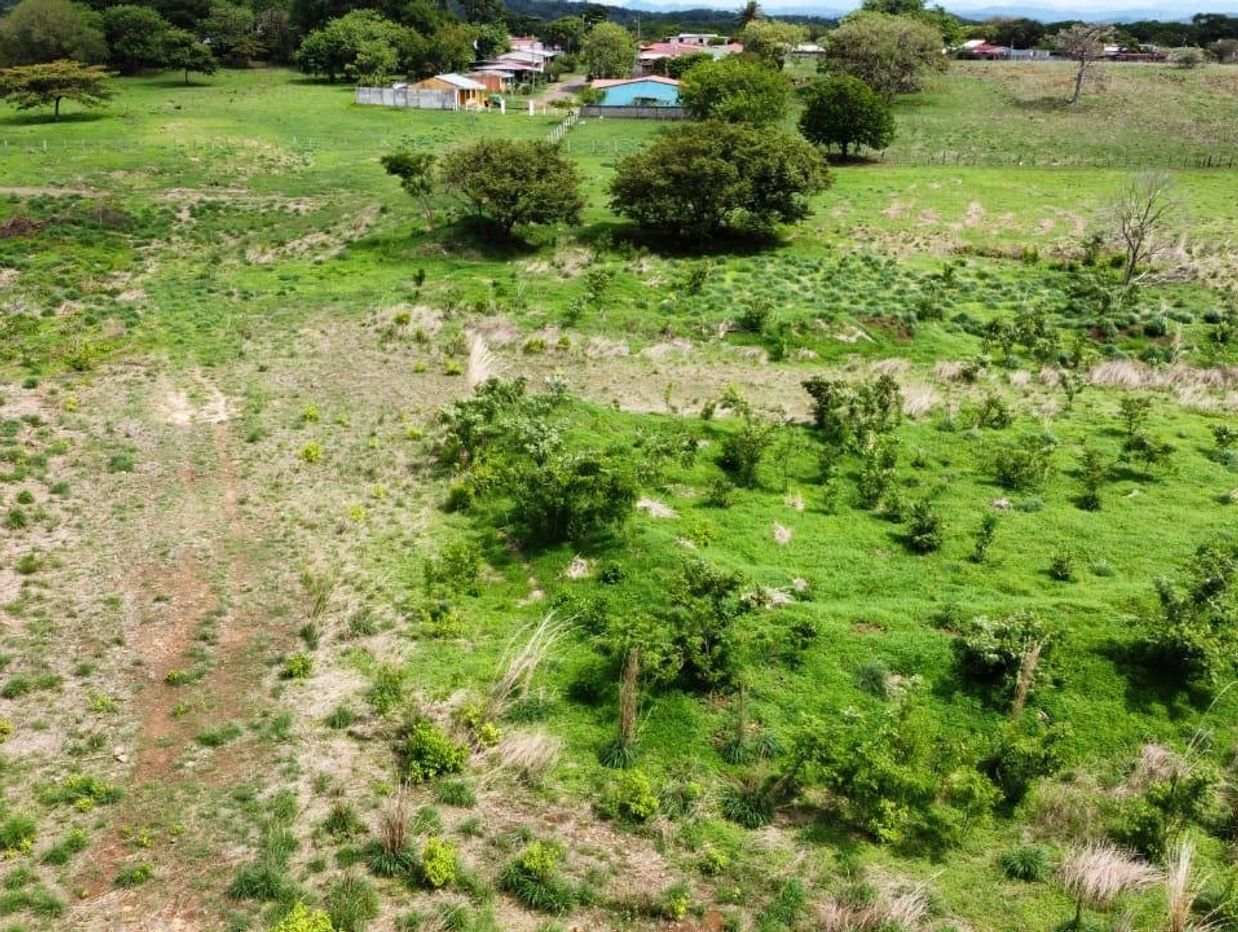 Campo verde con árboles y casas al fondo.