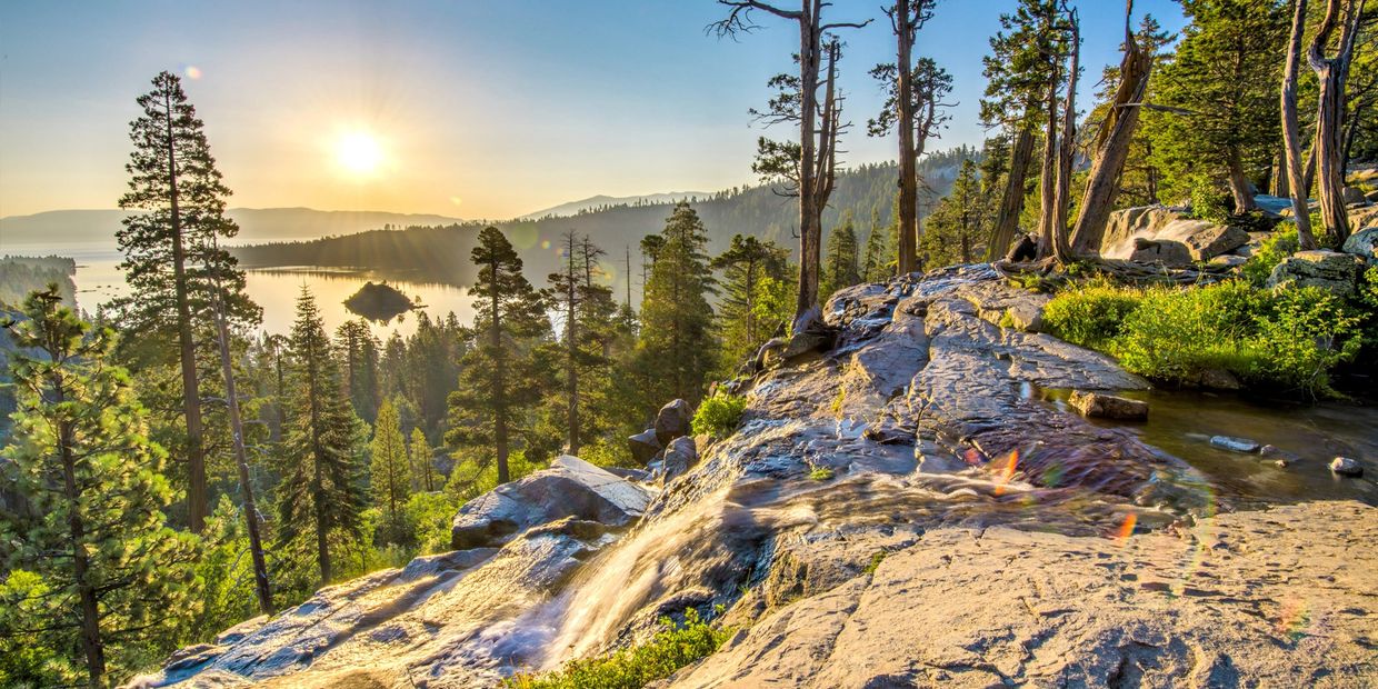emerald bay tour bus designated driver service