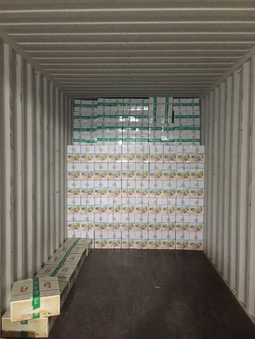 ACHOURA TEA
WEST AFRICA TEA