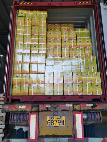 AJWAD TEA
AZAWAD TEA