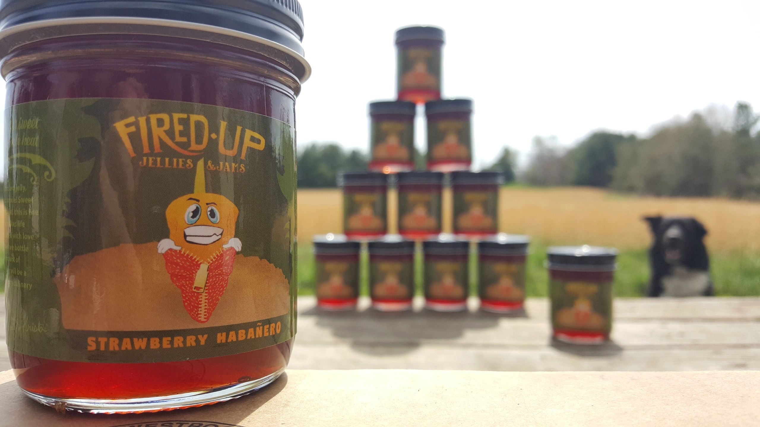 Recipes Fired Up Jellies and Jams