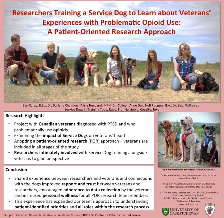 Researchers training service dogs to support veterans with opioid issues.