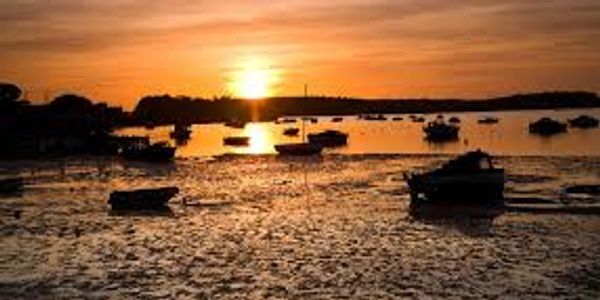 Boats resting on muddy shore during a golden sunset.