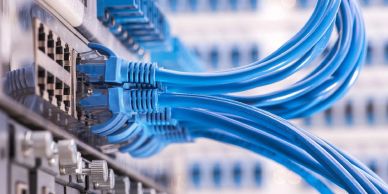 Blue network cables plugged into a switch.