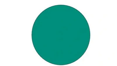 A teal circle centered on a white background with black text below.