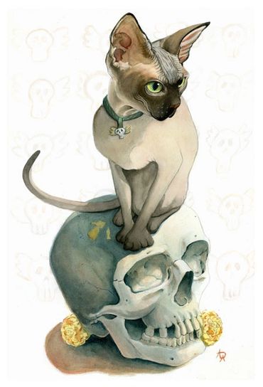 Siamese hairless cat on a human skull with marigolds on the bottom 
