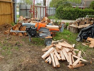 Industrial log cutter and fresh cut oak firewood at ground level large tree stumps visible by fence.