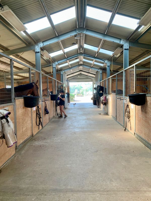 Modern bright and airy stables