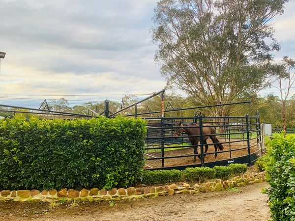 Our super safe Priefet walker with poly surface