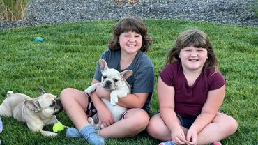 ๐พ Our adorable French Bulldog puppies are raised with love in our family! ๐กโค๏ธ