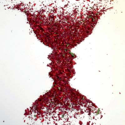 Et bilde som viser en vase laget av små blomster, der utsidene av vasen kan se ut som to ansikter