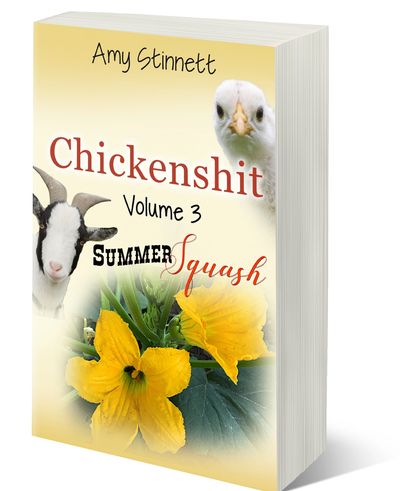 Chickenshit - Volume 3: Summer Squash