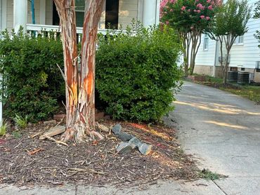 Mulch bed and shrubs beside a front porch, Richmond VA – before