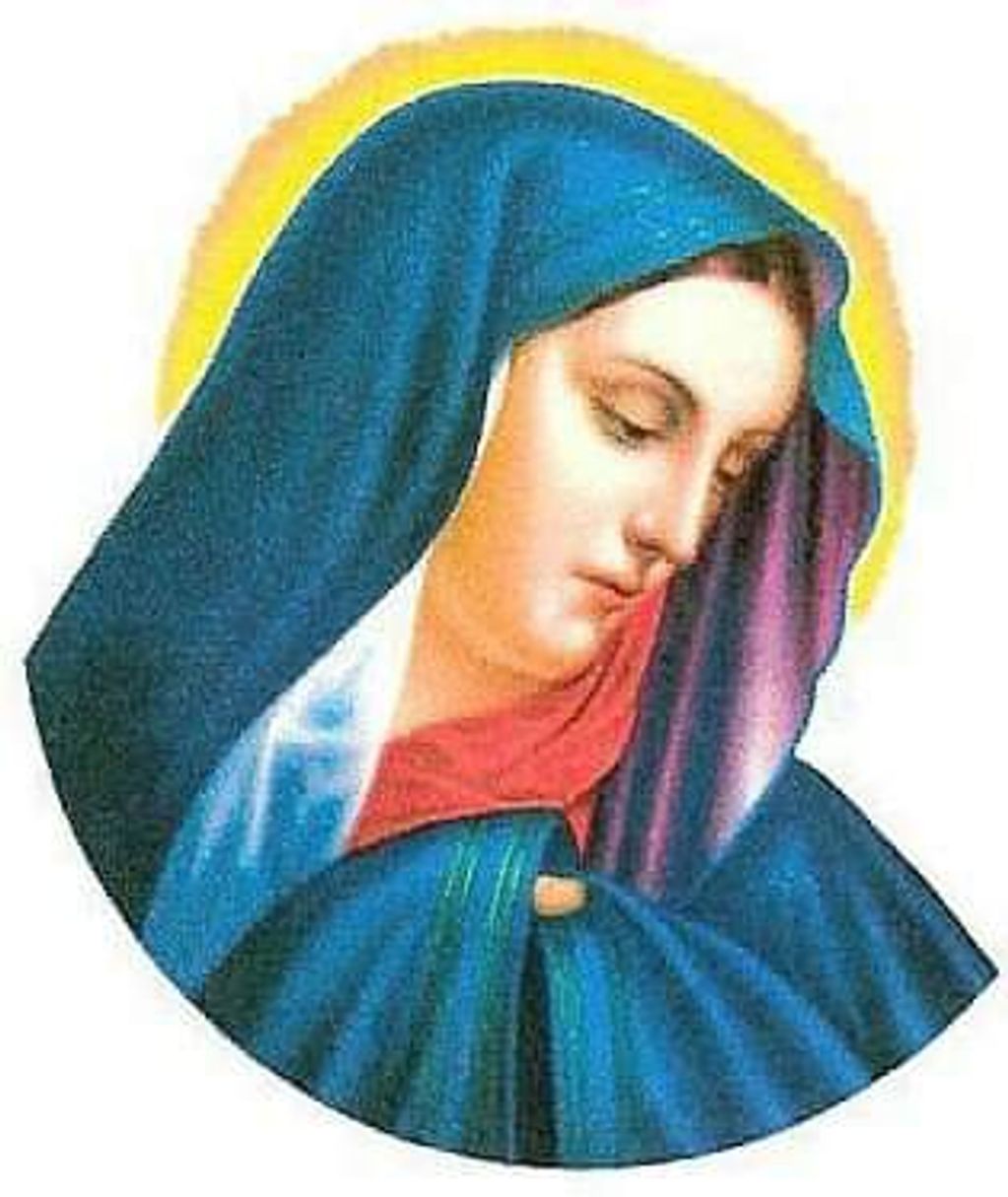 image14