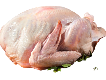 Raw turkey surrounded by autumn produce and pumpkins.