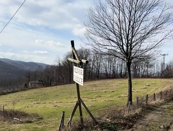 A rural landscape with a 'Se Vende' sign on a wooden post and a dirt path.
