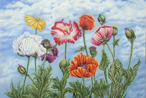 Peaceful Skies Poppies, colored pencil painting
