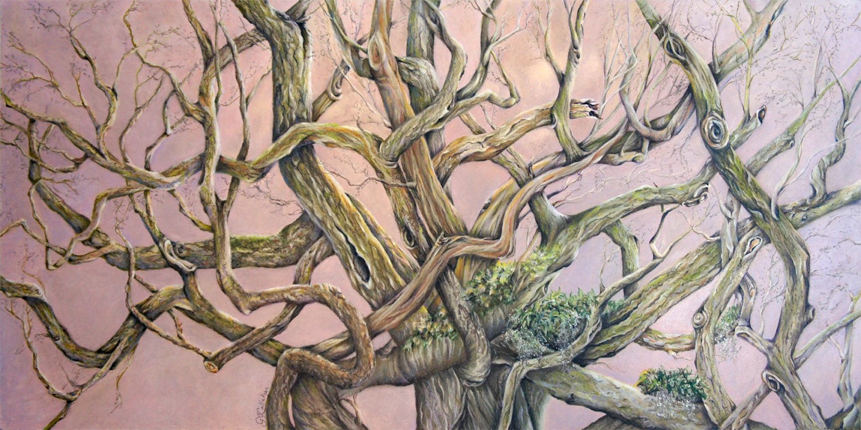 Entwined Angel Oak colored pencil painting