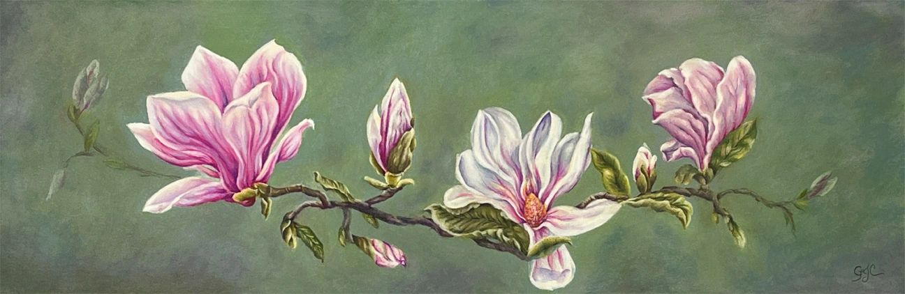 Southern Girls-Saucer Magnolia Branch, Colored Pencil Floral on Ampersand Pastelboard, 