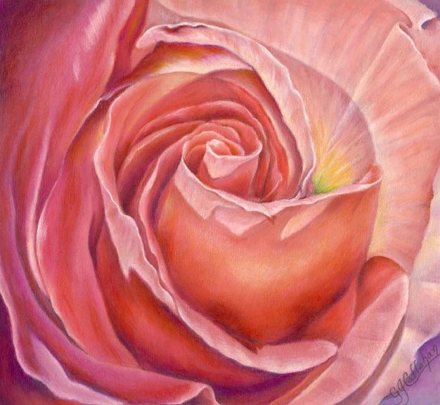 Rose Swirl colored pencil painting
