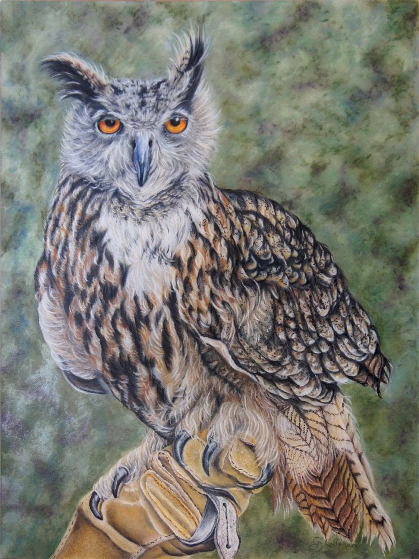On Glove - Eurasian Eagle Owl colored pencil painting