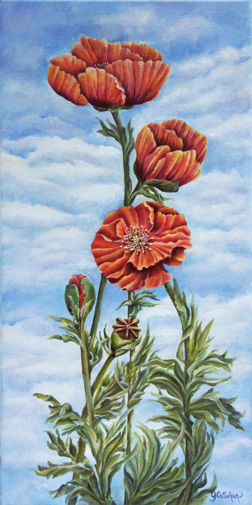 Peaceful Sky Poppies Oil Painting